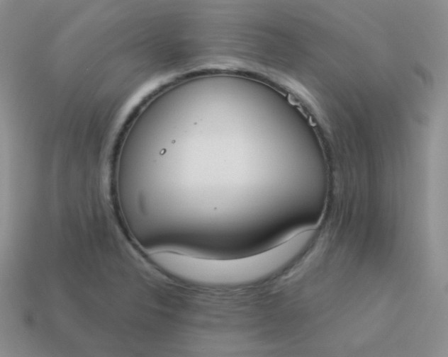 X0000114001326200910161700