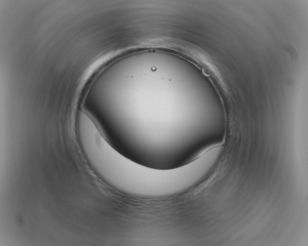 X0000114001328200910161700