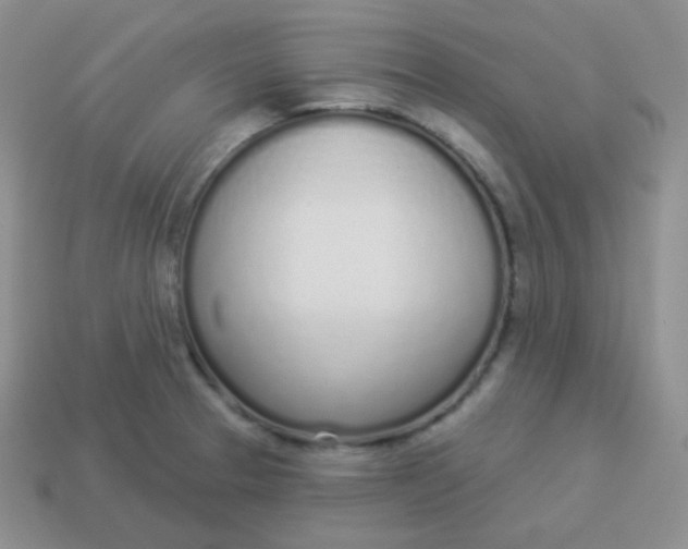 X0000114001329200910161700