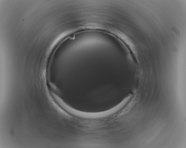 X0000114001334200910161700