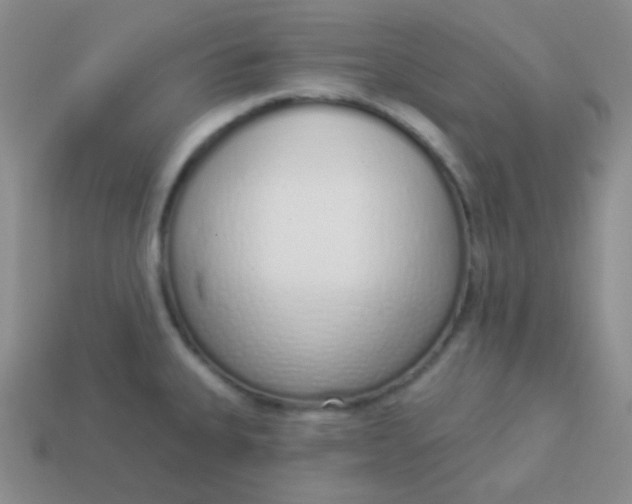 X0000114001335200910161701