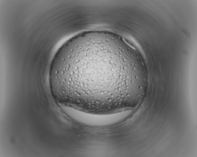 X0000114001336200910161701