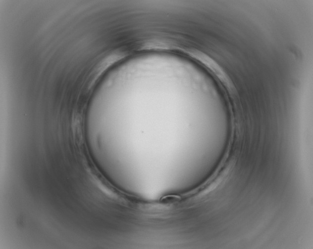X0000114001337200910161701