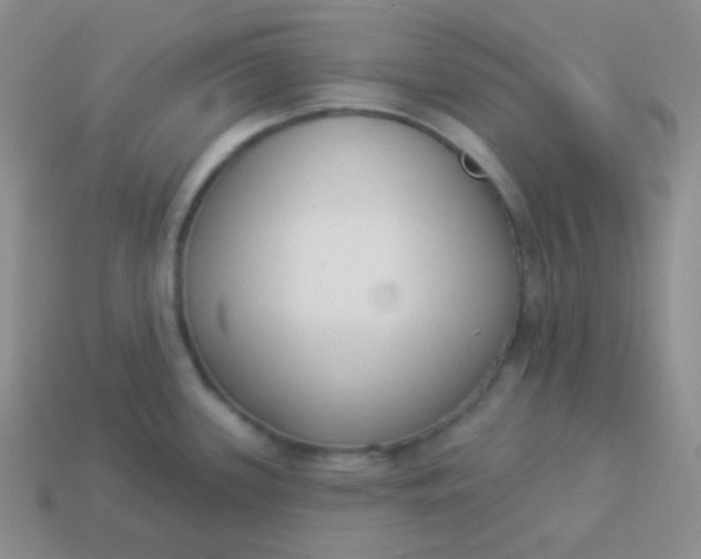 X0000114001339200910161701