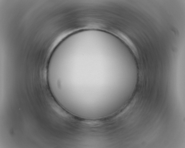 X0000114001340200910161701