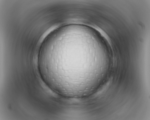 X0000114001341200910161701