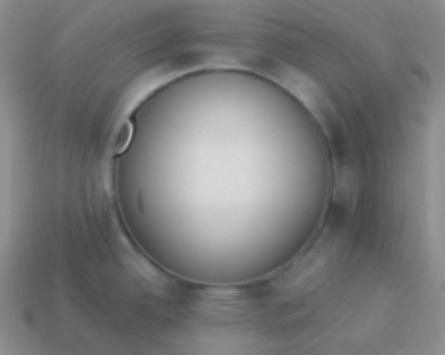 X0000114001342200910161701