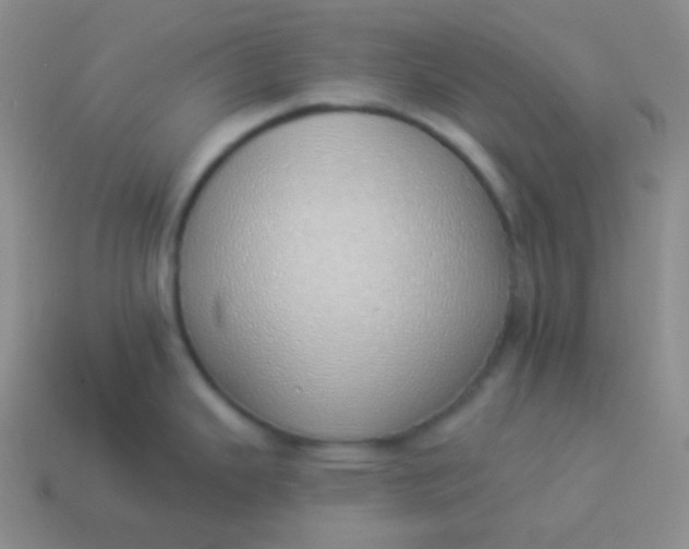 X0000114001343200910161701
