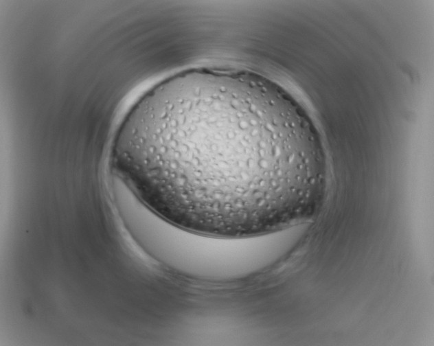 X0000114001344200910161701