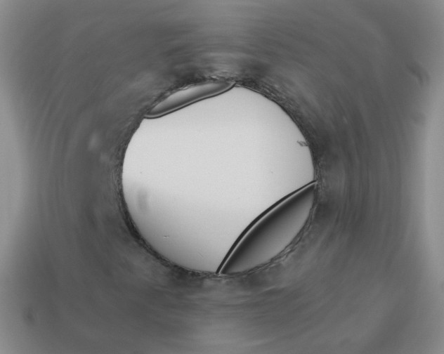 X0000114001345200910161700