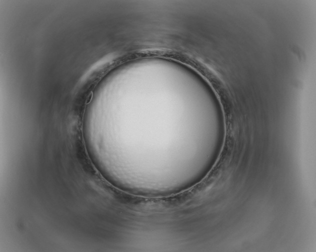 X0000114001351200910161700