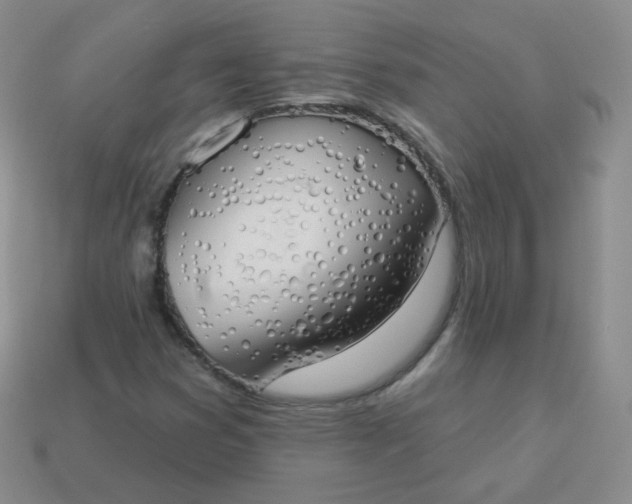 X0000114001353200910161700