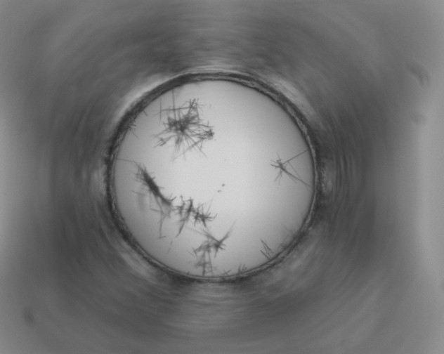 X0000114001356200910161700