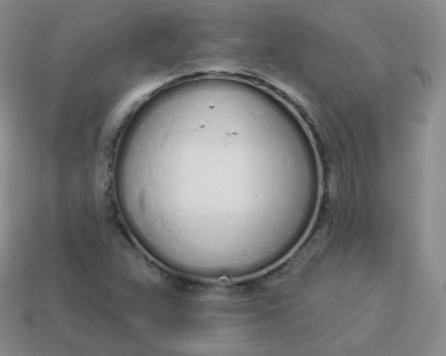 X0000114001359200910161700
