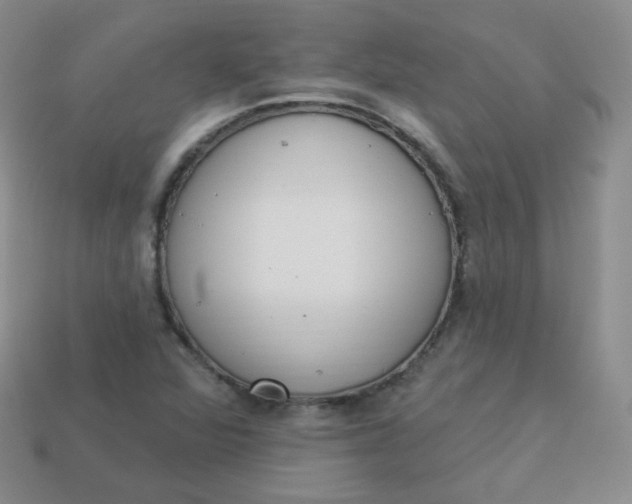X0000114001360200910161700