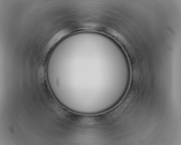X0000114001362200910161700