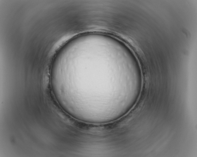 X0000114001363200910161700