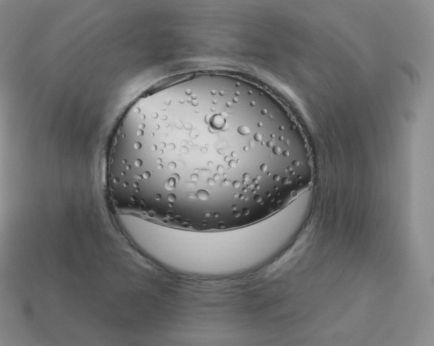 X0000114001365200910161700