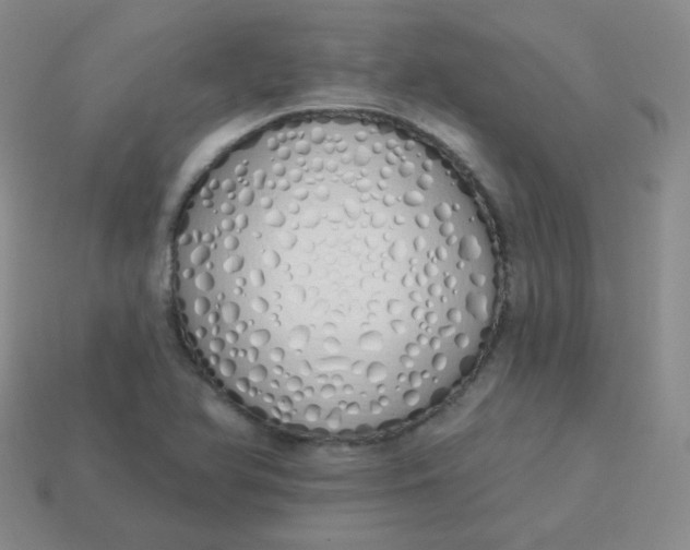X0000114001366200910161700