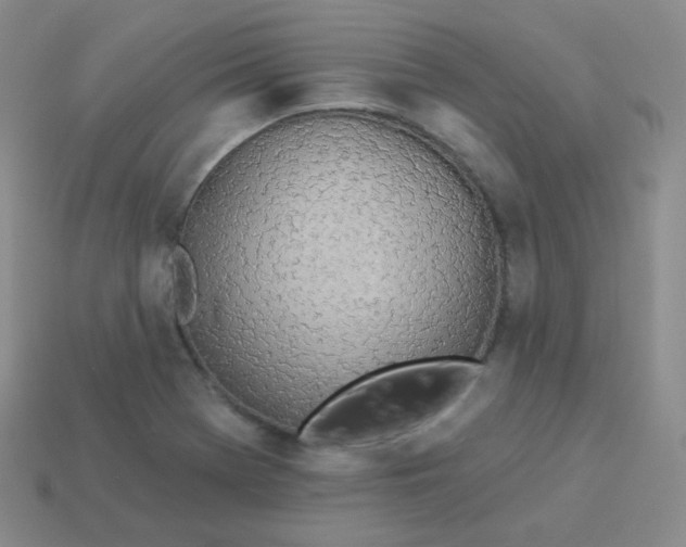 X0000114001369200910161700
