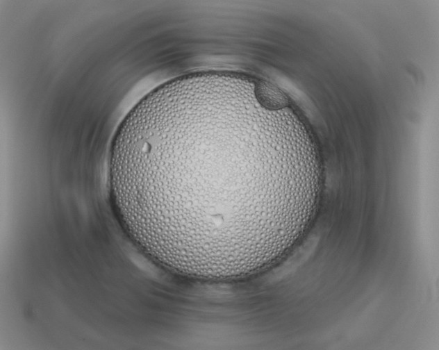 X0000114001370200910161700