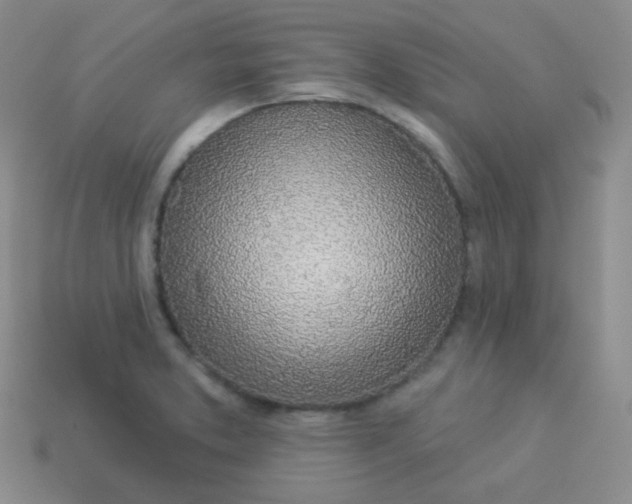X0000114001373200910161700