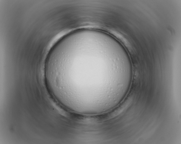 X0000114001375200910161659