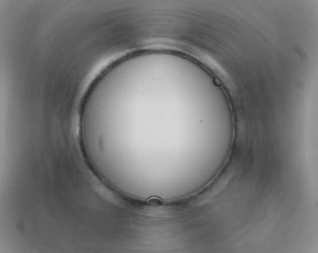 X0000114001376200910161659