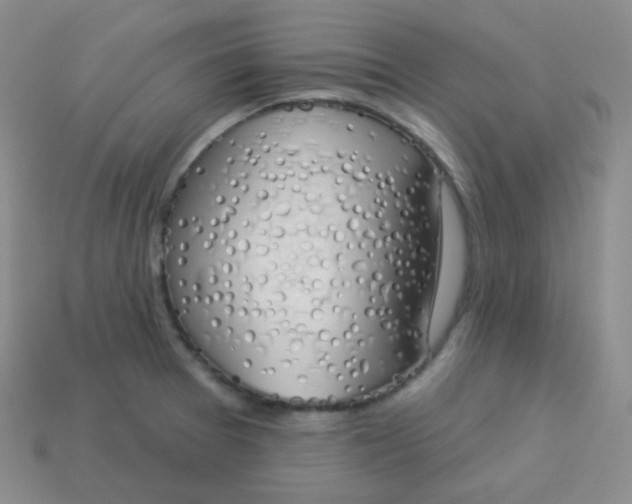 X0000114001377200910161659