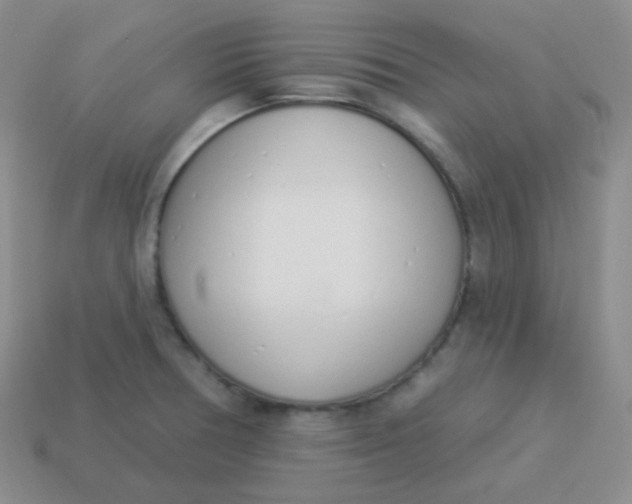 X0000114001378200910161659