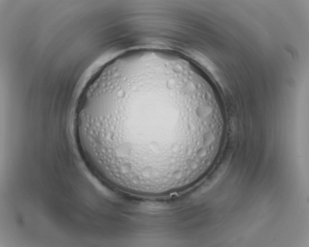 X0000114001379200910161659