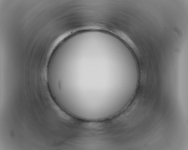 X0000114001380200910161659