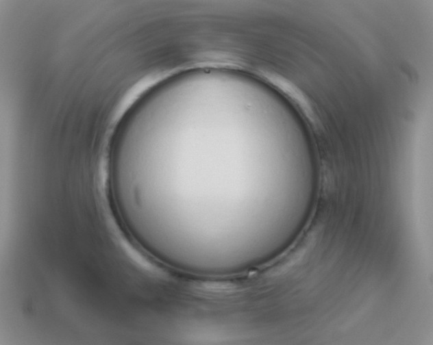 X0000114001383200910161659