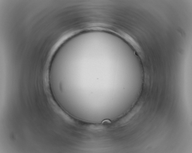 X0000114001384200910161659