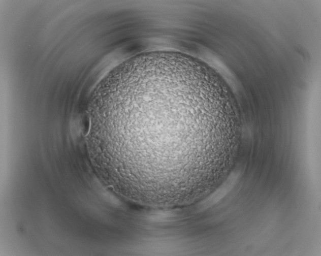 X0000114001385200910161659