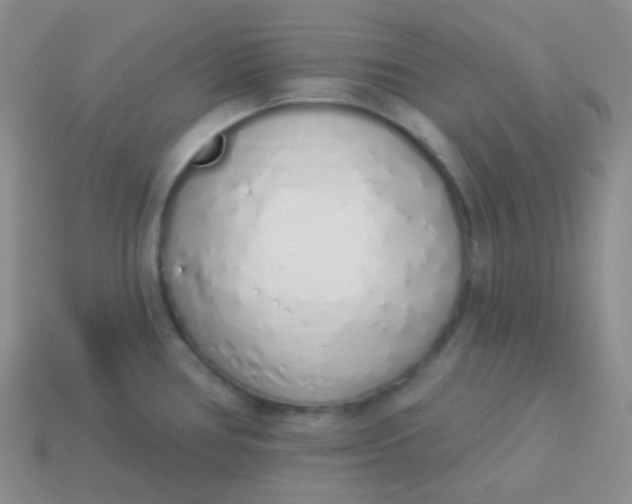 X0000114001386200910161659