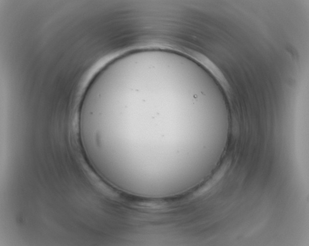 X0000114001388200910161659