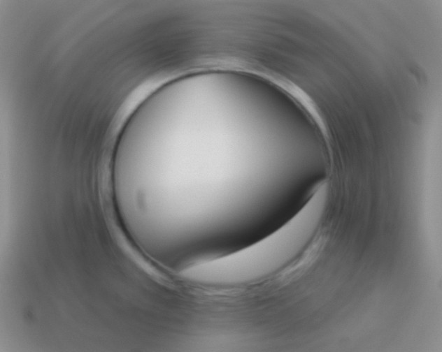 X0000114001389200910161659