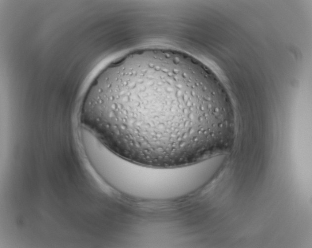 X0000114001392200910161659