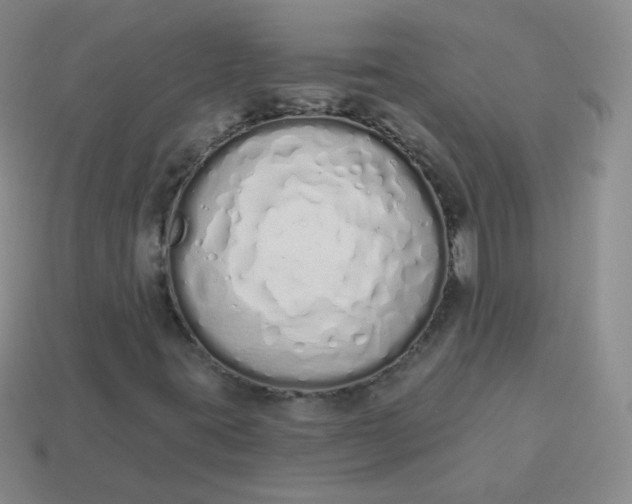 X0000114001395200910161659