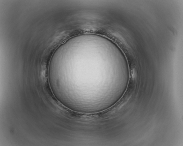X0000114001396200910161659