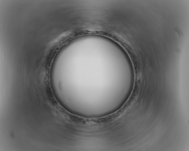 X0000114001398200910161659