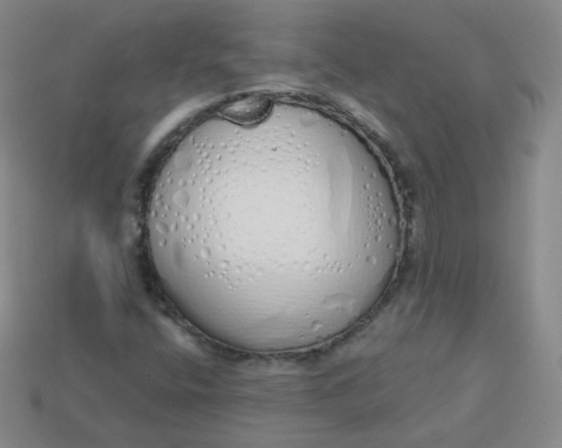 X0000114001400200910161659