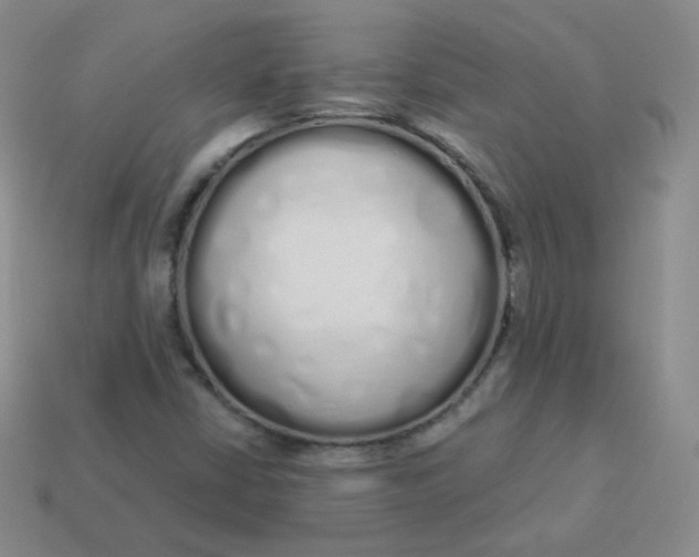 X0000114001402200910161659