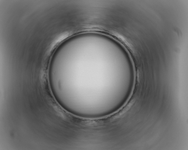 X0000114001405200910161659