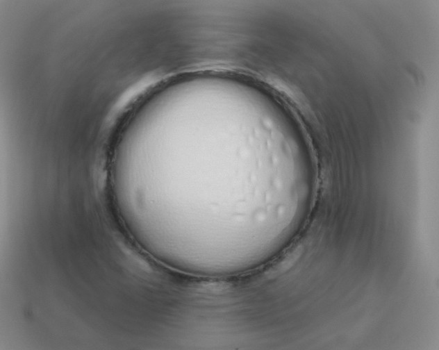 X0000114001406200910161659