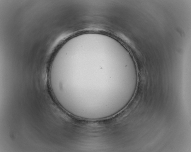 X0000114001408200910161659