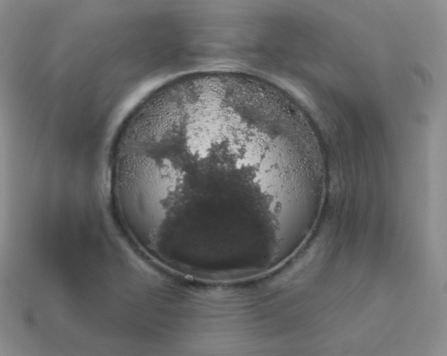 X0000114001414200910161659