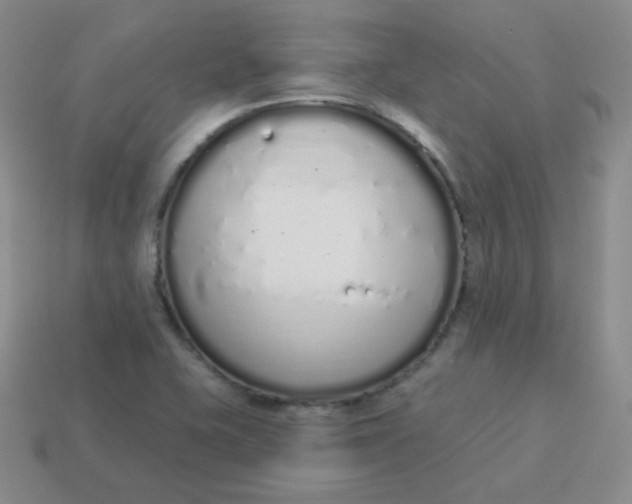 X0000114001415200910161659