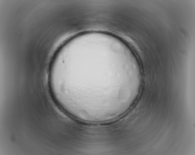 X0000114001416200910161659